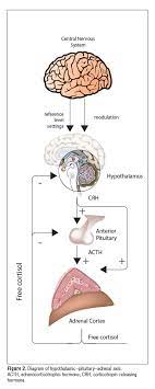 Understanding Potential Complications Of Epidural Steroid Injections