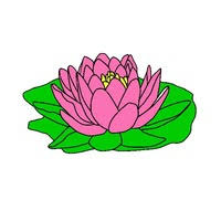 Desenhos De Vitoria Regia Para Colorir Tudodesenhos