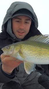 It's that time of year.... It's spring, people are refreshed! 😂