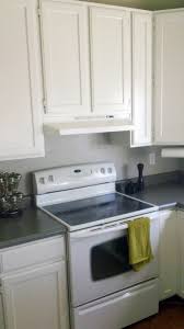 range hoods aren't meant to be bisque