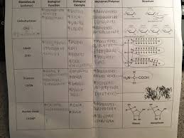 biomolecule 2 different charts related keywords