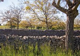 Il porte un regard singulier sur le monde tel qu'il va et où il va, à faire comprendre les enjeux économiques, environnementaux et sociétaux. Lot Le Parc Naturel Regional Des Causses Du Quercy A La Tele Sur France 3 Actu Lot