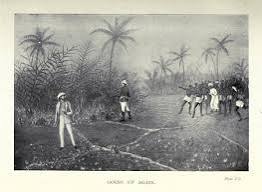 How I Killed the Tiger (1902) — The Public Domain Review