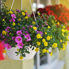 Mieter dürfen auf dem balkon oder im garten nach ihrem belieben stühle, bänke, tische oder sonnenschirme aufstellen. Garten Auf Dem Balkon So Machen Sie Ihren Balkon Zur Grunen Oase