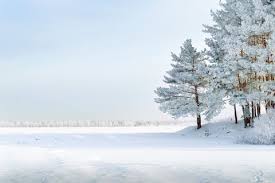 De ijskristallen voegen zich samen en vormen sneeuwvlokken. Weerweetjes Wist Je Dit Al Over Sneeuw