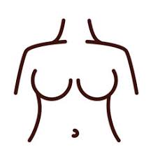 In fact, most people do not even have an idea of where to start when it comes to drawing human body diagrams. Body Diagram Girl Vector Images Over 500