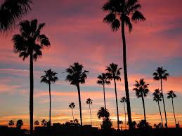 Long Beach California Sunset Sunset Pictures Palm Tree Sunset California Wallpaper