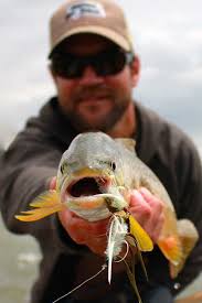 4 Tips For Fishing The Madison River in August
