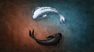 Black And White Coy Fishes Illustration Two Black And White Coi Swimming On Water Animation Fish Yin And Yang Symb In 2020 Fish Illustration Koi Fish Fish Wallpaper