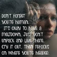 a meltdown - Aspiring Quotes