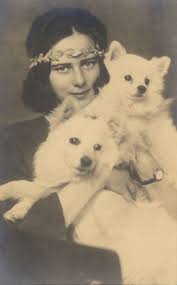 Principesa ileana a româniei (cunoscută și ca domnița ileana; Principesa Ileana I Eroii Romaniei Chic