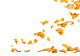 Transparent gifs falling, fall falling sticker by brock university for ios. Download Png Leaves Fall Png Gif Base