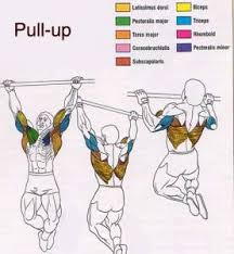 Pullups Archives Armstrong Pullup Program
