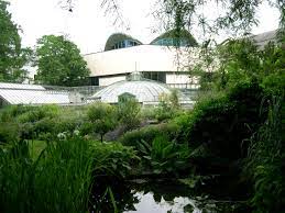 1,418 likes · 8 talking about this · 1,883 were here. Botanischer Garten Der Universitat Basel Wikipedia