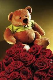 We did not find results for: Moser S 7 Roses And Teddy Bear Columbia Mo 65201 Ftd Florist Flower And Gift Delivery