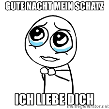 Du bist mein letzter gedanke bevor ich einschlafe. Gute Nacht Mein Schatz Ich Liebe Dich Pleaseguy Meme Generator