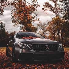 Autumn Mercedes Wallpaper Mercedes Car Mercedes Benz Cars