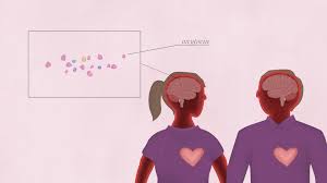 Why Falling In Love Gives You Butterflies Stewie goes inside peter's stomach to kill all the sperms as he doesn't want another baby in the house. your brain on love