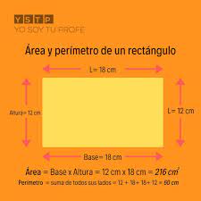 Calcular el perímetro de un rectángulo de 10 cm de base y 6 cm de altura. Sabes Calcular El Area Y El Perimetro De Un Rectangulo Yo Soy Tu Profe