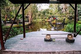The Arts Factory Lodge As Her World Turns Lodge Hostel Byron Bay