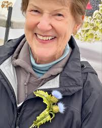 Annette Kramer (@annettekramerdesigns) • Instagram photos and videos