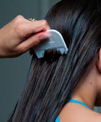 This solution worked for my family! How To Get Rid Of Lice Eggs On Hair