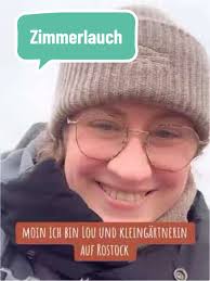 Zimmerlauch: Ein neues Gartenexperiment für 2023