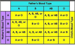 Blood Types Parents