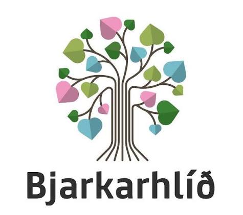Ársskýrsla 2017