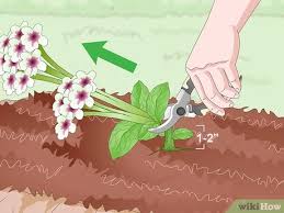 I am crushed!' in fact, i don't know what i should do if i hadn't got something to fall back upon.' How To Prepare Your Garden For The Fall 15 Steps With Pictures