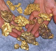 Unlike gold veined boulders, gold flecked magma piles do not have a preset amount of gold nuggets to drop. Raw Gold Nuggets Gold Mining Gold Mining Equipment Natural Gold Nugget
