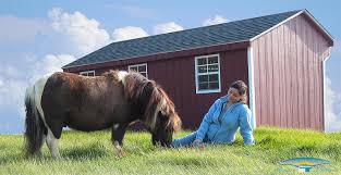 Here's a high profile barn we just built in rhode island and it's a gem! Barns For Miniature Horses Small Horse Barns Horizon Structures