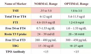 What Is Meant By A Tsh Level Of 0 02 Quora