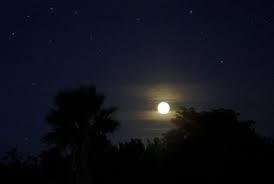 71,857 moon stars clip art images on gograph. Free Stars Moon Images Pictures And Royalty Free Stock Photos Freeimages Com