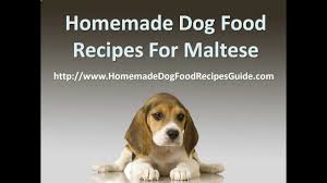 Homemade dog food recipes may not only ensure your pet's health but can also come in handy if you find yourself cleaned out of commercial dog food. Homemade Dog Food Recipes For Maltese Youtube