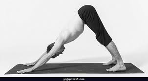 Pin On Yogaposes8