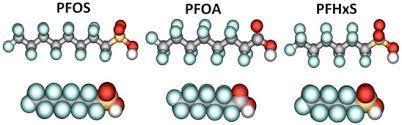 Metabolic Effects Pfas Springerlink