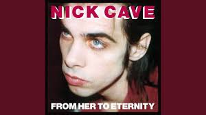 These stays are highly rated for location, cleanliness, and allawah cottage is situated at the end of a quite country lane on a family owned. Anita Lane Founding Member Of Nick Cave S Bad Seeds Dead At 61 Worldnewsera