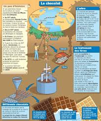 Educational Infographic Histoire D Ou Vient Le Chocolat Infographicnow Com Your Number One Source For Daily Infographics Visual Creativity Education Inspiration Learn French Educational Infographic