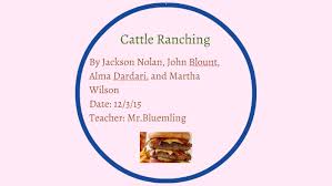 cattle ranching by jacksonn jn on prezi