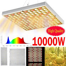 Check spelling or type a new query. Buy Led Grow Light 10000w Full Spectrum Bulbs Hydroponic Lamp Harmless Plant Light Growing Lamp For Indoor Plants Greenhouse Veg Flower Garden At Affordable Prices Free Shipping Real Reviews With Photos