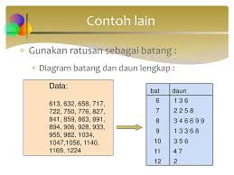 Umumnya adalah akar, rimpang, batang, dan daun. Plot Batang Dan Daun Weeepsa