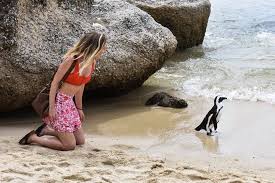 The Best Beaches In Cape Town South Africa Brown Eyed Flower Child