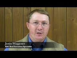 How to store spent grain for cattle？