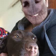 15 horrifying face swaps oddee 顔コラ すぎる 顔 面白い動画