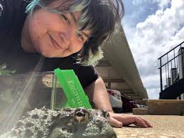 took Guillermo outside for the first time today and i think he liked it! 💚 