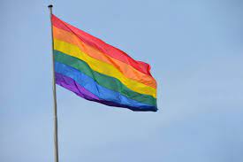 16 • solo un artista adolescente desde diciembre de 2018 •. Gemeente Vlagt Lhbti Mensen Toe Amstelveen Blog