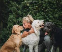 We did not find results for: 6 Best Golden Retriever Breeders In North Carolina 2021 We Love Doodles