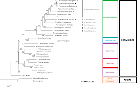 Accessible Molecular Phylogenomics At No Cost Obtaining 14