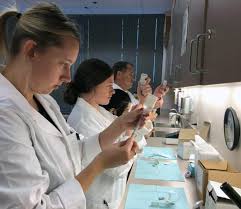 This is a sample course sequence. Clinical Medical Assistant Clinical Medical Assistant Program
